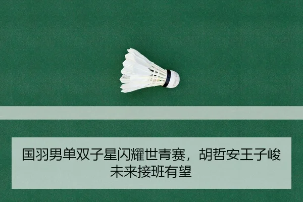 国羽男单双子星闪耀世青赛，胡哲安王子峻未来接班有望