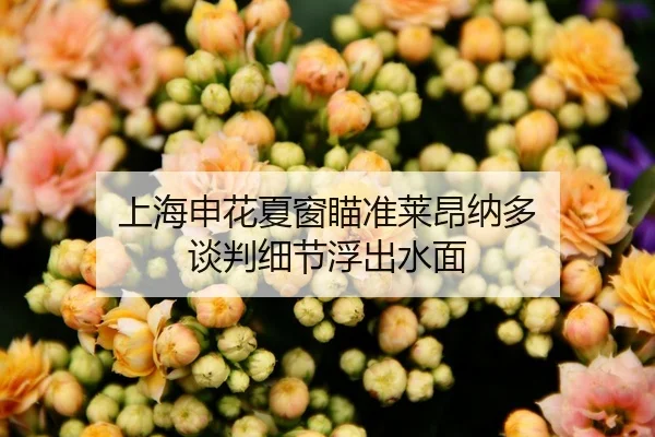 shang-hai-shen-hua-xia-chuang-miao-zhun-lai-ang-na-duo-tan-pan-xi-jie-fu-chu-shui-mian-2-568.jpg