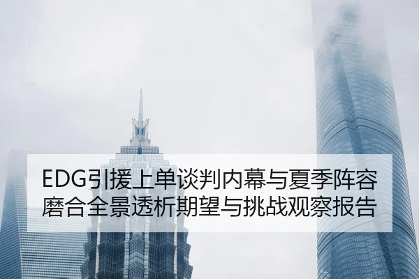 EDG引援上单谈判内幕与夏季阵容磨合全景透析期望与挑战观察报告